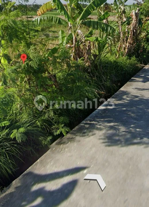 Pantai Nyanyi Beraban Tabanan Kav Itr Hijau - Image 4 of 4
