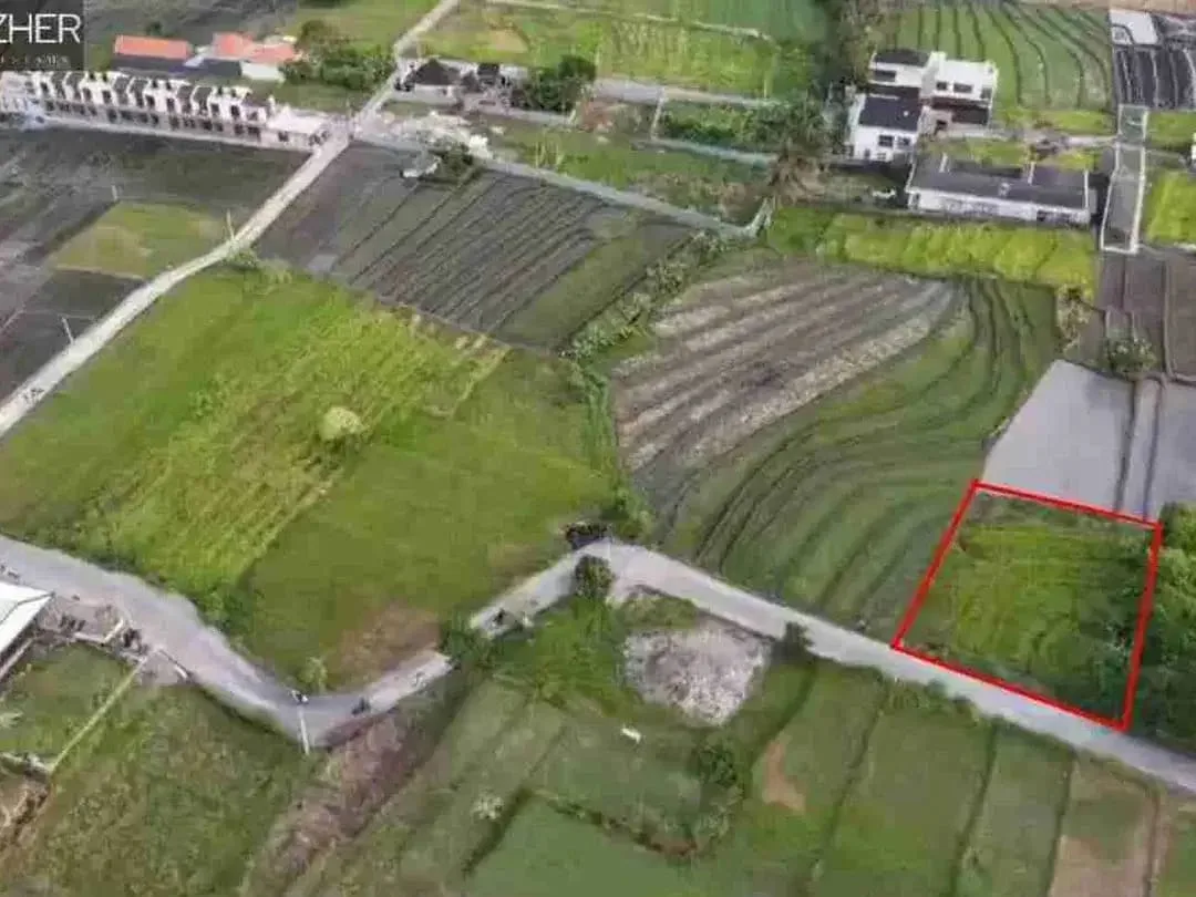 TANAH PREMIUM VIEW SAWAH PANTAI NYANYI - Image 3 of 6