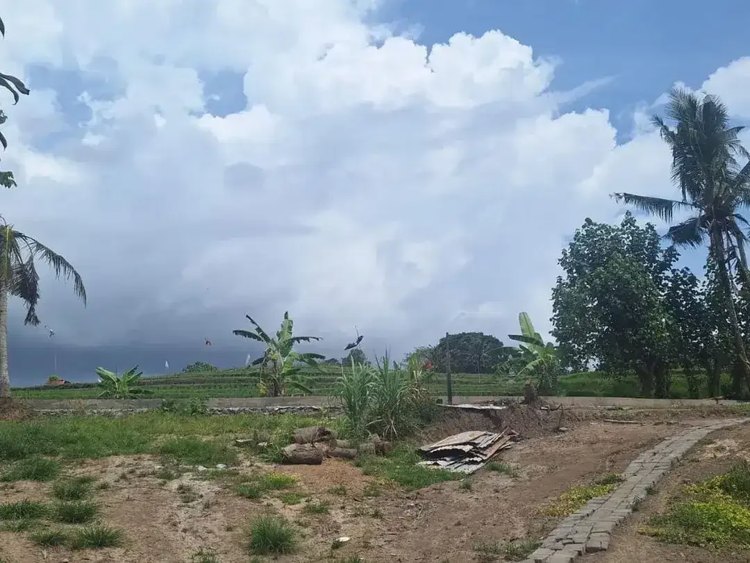 For Sale Freehold - Land area Tumbak Bayuh - Image 9 of 10