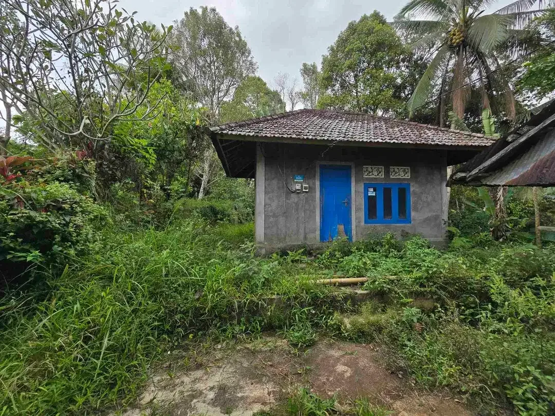 Dijual tanah kebun dan sawah view sawah dan lembah di tabanan bali - Image 9 of 10