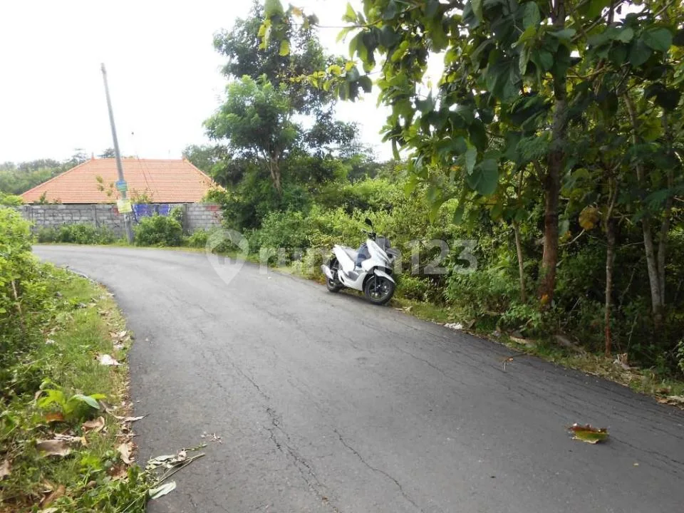 Tanah 23 Are di Jalan Utama Pantai Balangan Cocok untuk Villa - Image 4 of 4
