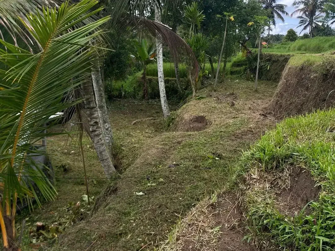 Land for sale in Tegallalang, Bali - Image 4 of 10