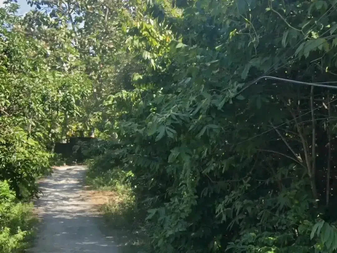 Prime Freehold Land for Sale – Ungasan, South Kuta, Bali - Image 4 of 4