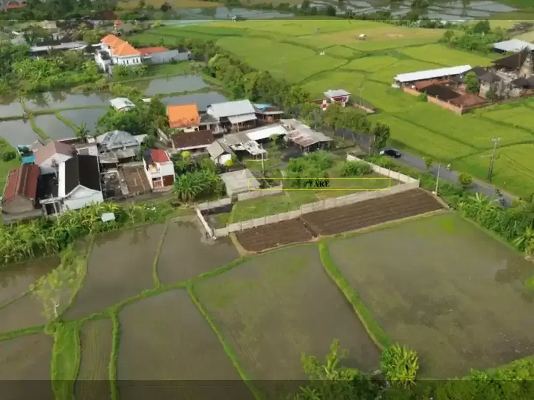 LAND WITH RICEFIELD VIEW IN GIANYAR - Image 3 of 5