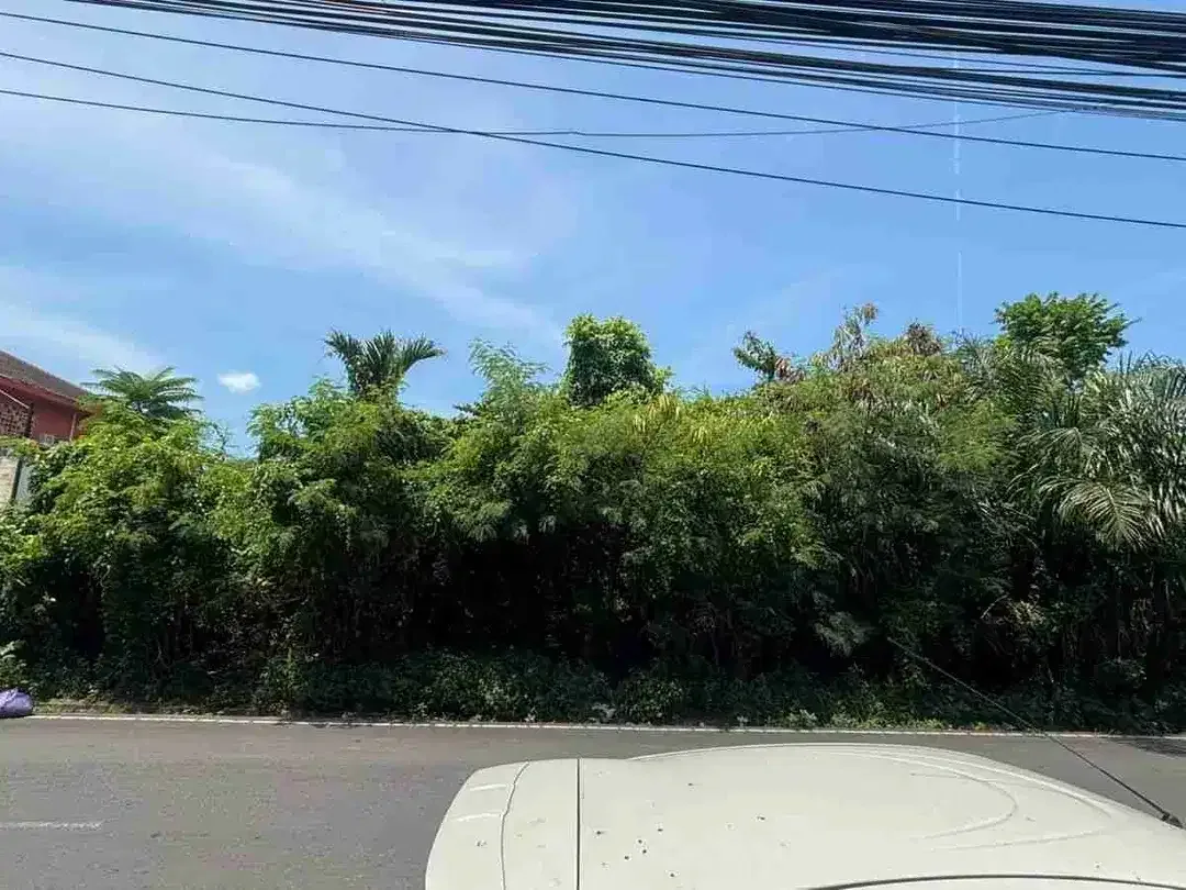 Tanah - Image 2 of 4