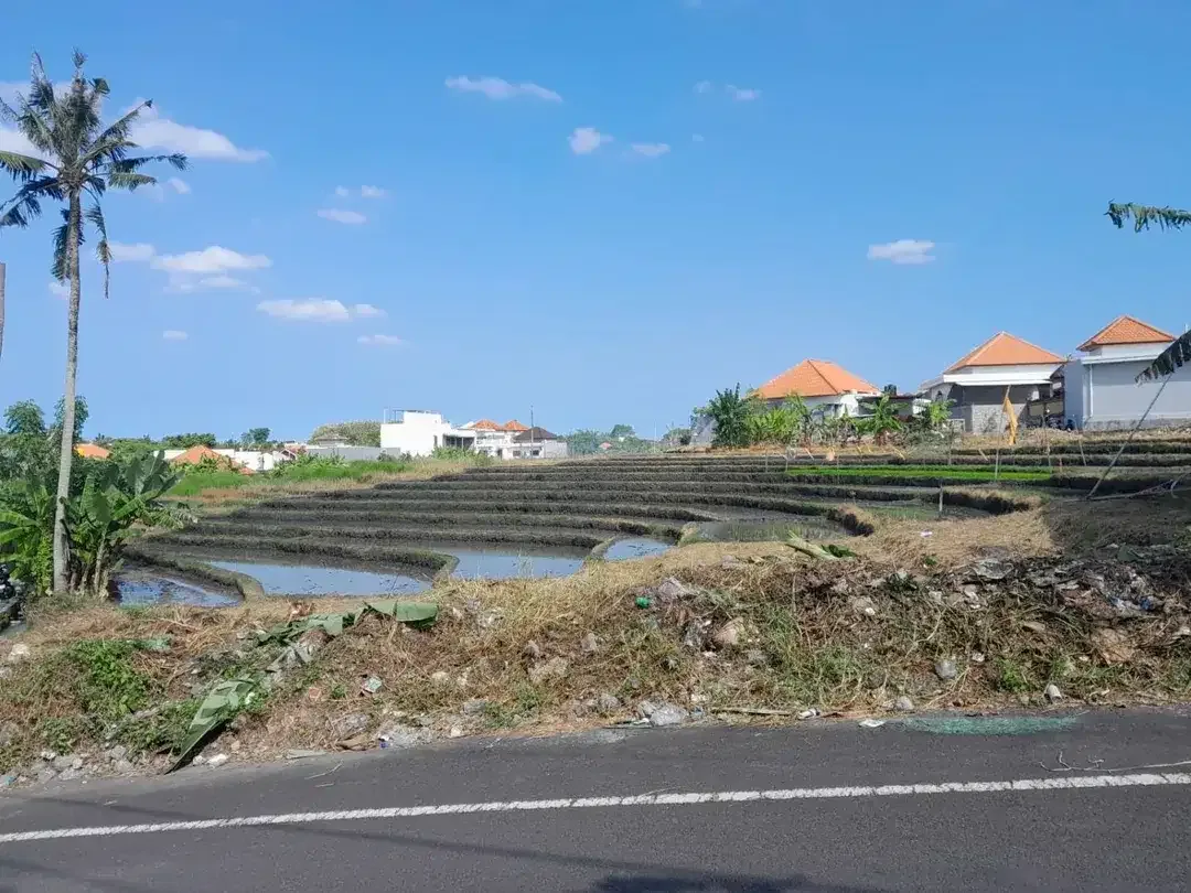 Tanah View Sawah Kayu Tulang Utara Canggu Bali - Image 1 of 10