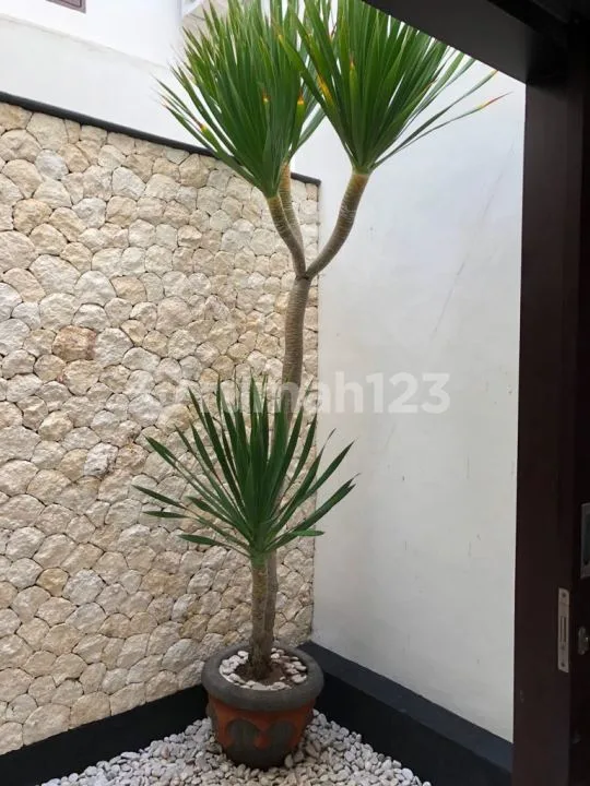 Rumah 2 Lantai Furnished Cemara Townhouse @ Nusa Dua Highland Residences - Image 3 of 4