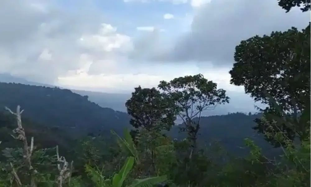 DIJUAL TANAH AIR TERJUN DAN MATA AIR BULELENG - Image 2 of 5