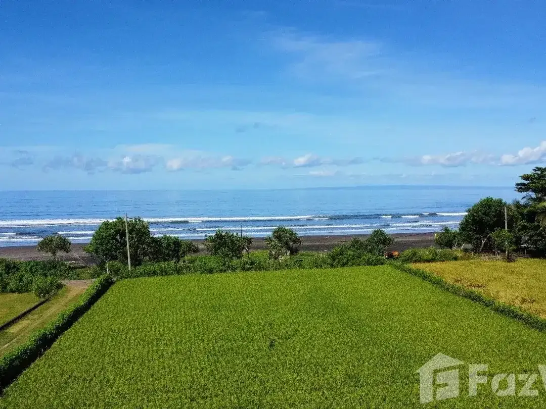 Land for sale in Medewi, Bali - Image 1 of 5