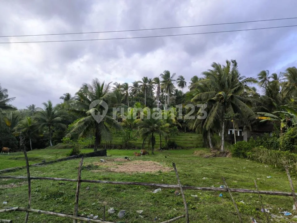 Tanah Jalan Utama Denpasar Gilimanuk Selemadeg Barat - Image 1 of 4