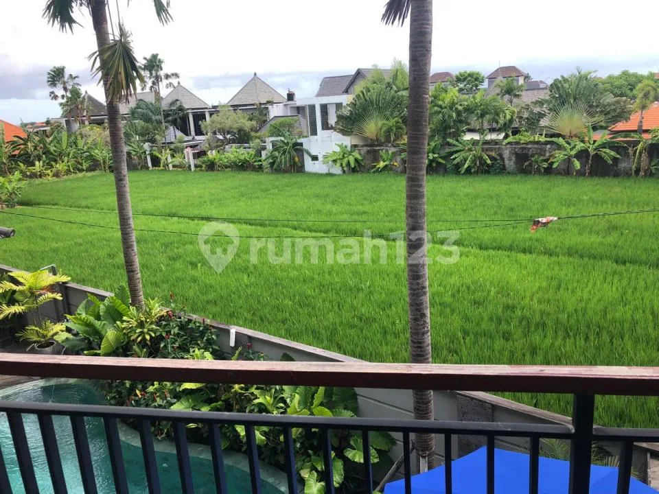 Dijual Guest House Apartemen Kerobokan Canggu Bali - Image 2 of 4