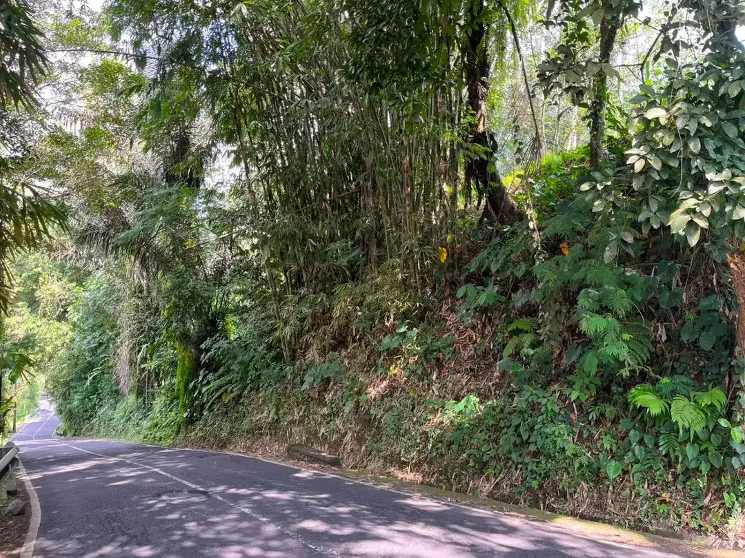 DIJUAL TANAH PREMIUM – PINGGIR JALAN UTAMA DESA BUAHAN, PAYANGAN – GIANYAR - Image 7 of 10