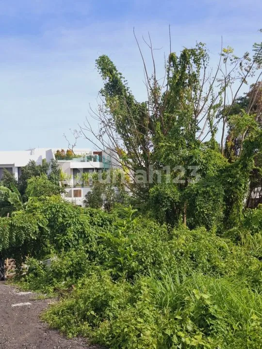 Tanah Premium Zona Kuning Selangkah Ke Pantai Canggu - Image 1 of 4