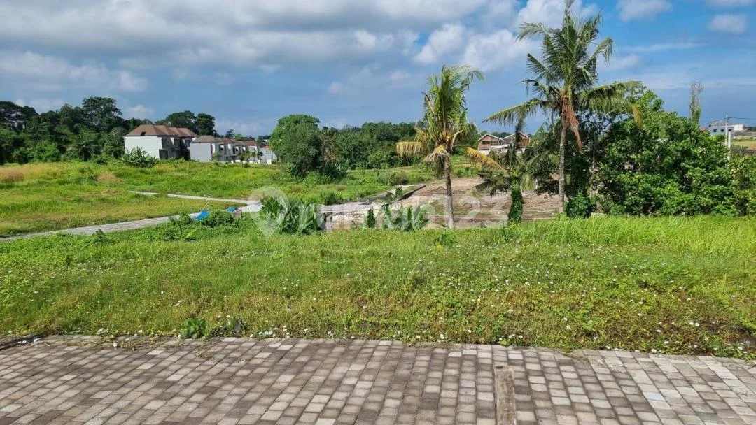 Tanah Jual Lokasi Kedungu - Image 3 of 4