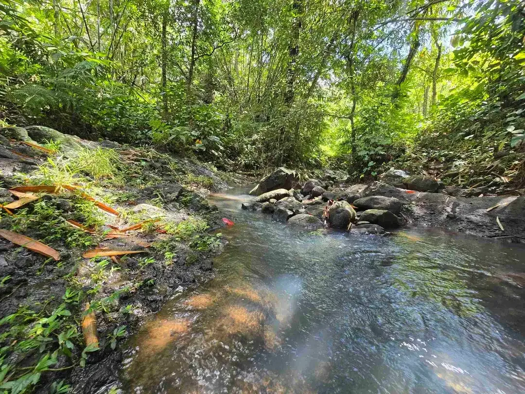 Dijual tanah murah los sungai air jernih di bali - Image 2 of 10