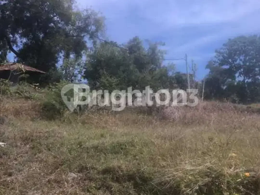 Dijual Tanah Lokasi Strategis Potensi Nilai Investasi Tinggi Di Air Sanih Singaraja - Image 2 of 4