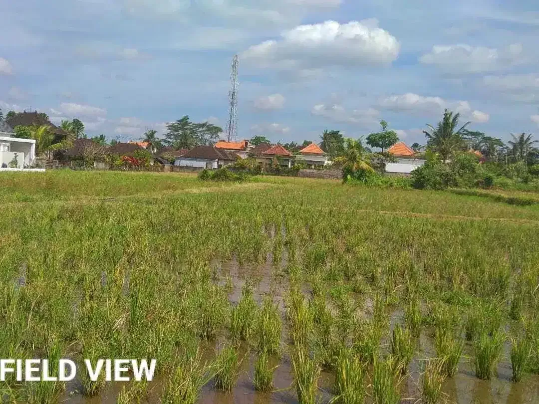 Scenic 2 Are Leasehold Land in Ubud with Rice Field View - Image 6 of 10