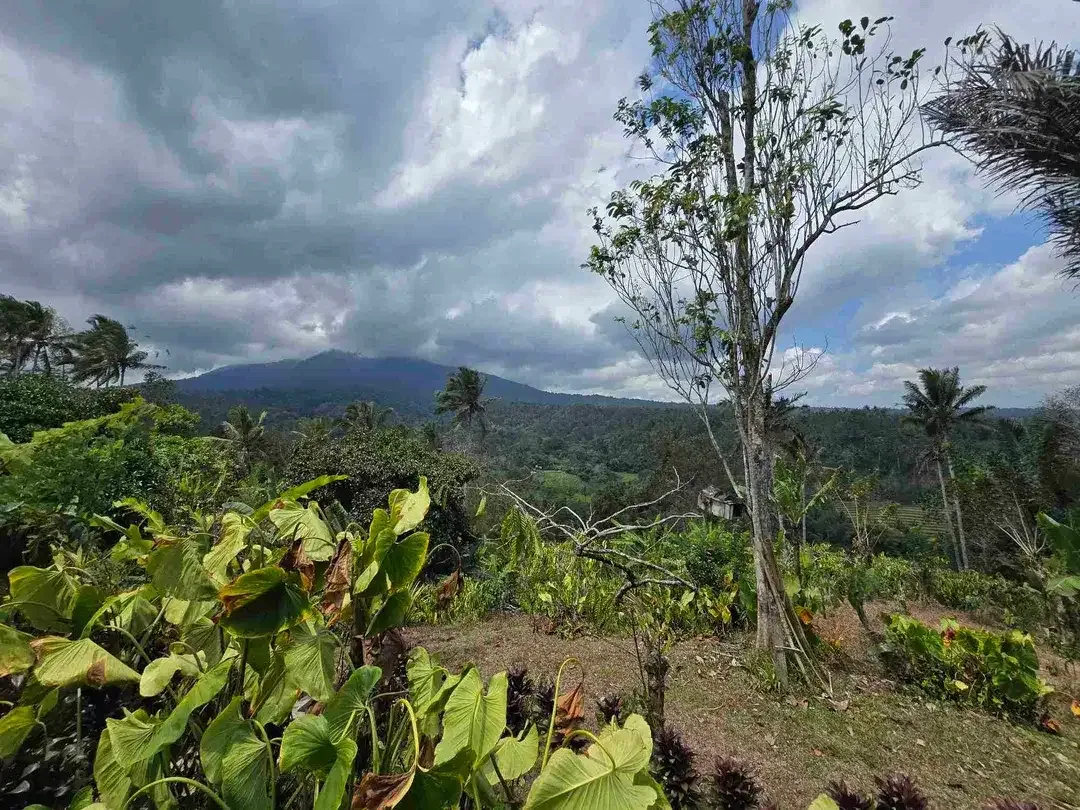 Dijual tanah bonus villa dengan view gunung sawah dan lembah di bali - Image 4 of 10