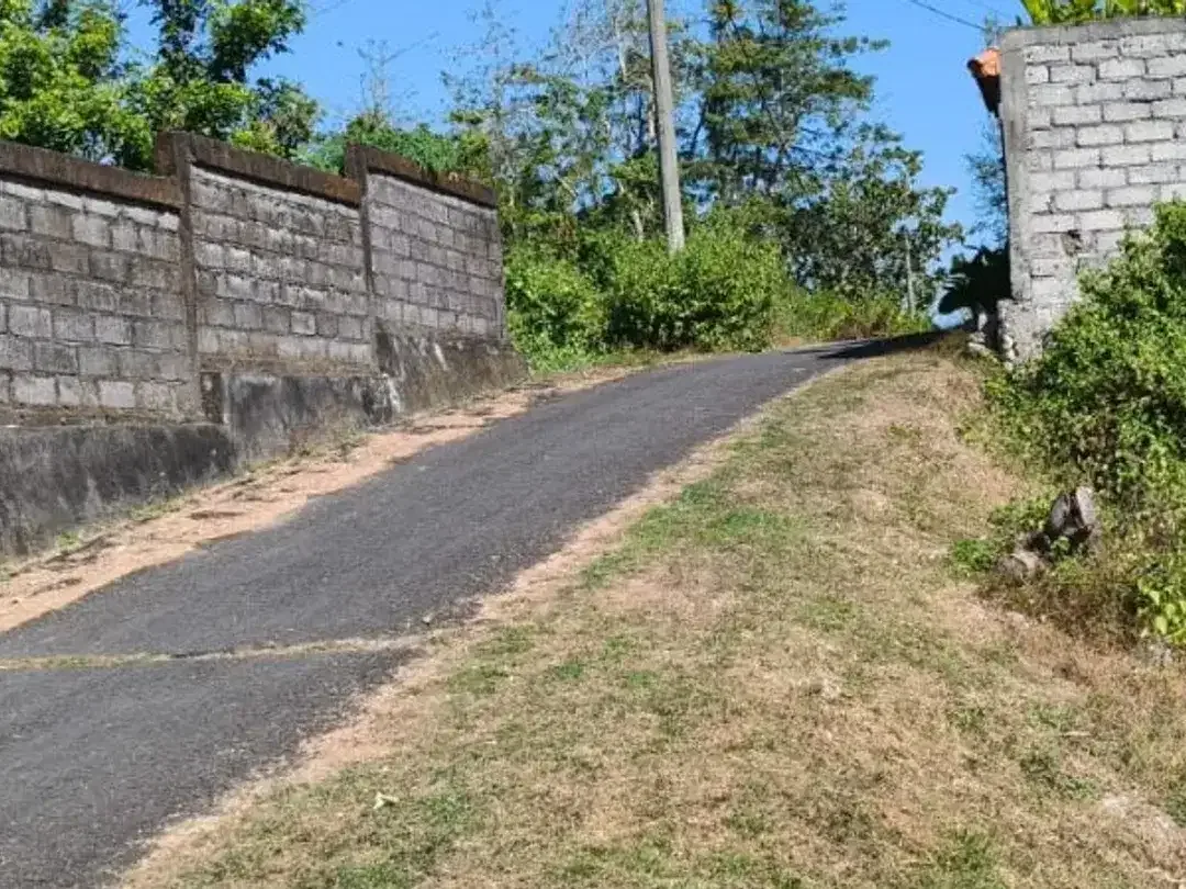 TANAH KAVLING DI DESA UNGASAN BADUNG - Image 4 of 8