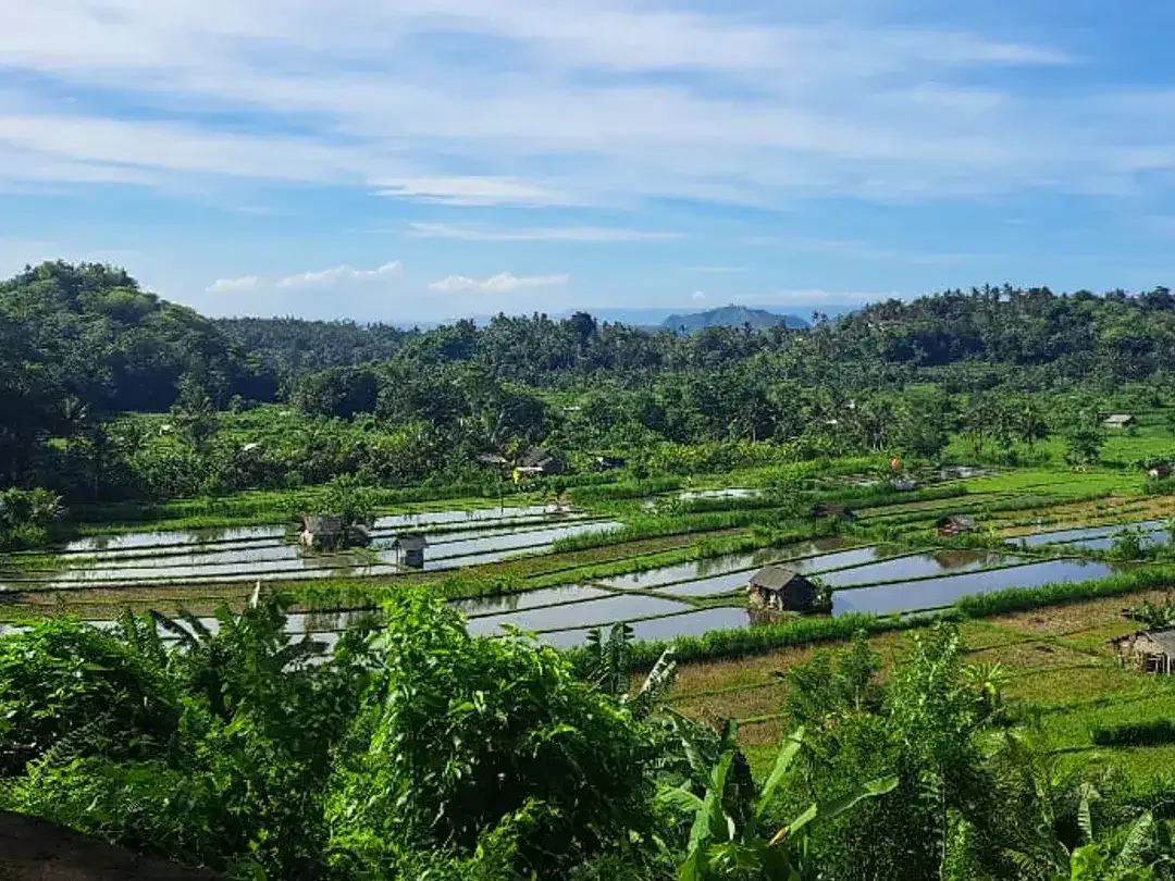 Land leasehold 1ha riceview Tirtagangga ababi karangasem - Image 4 of 6