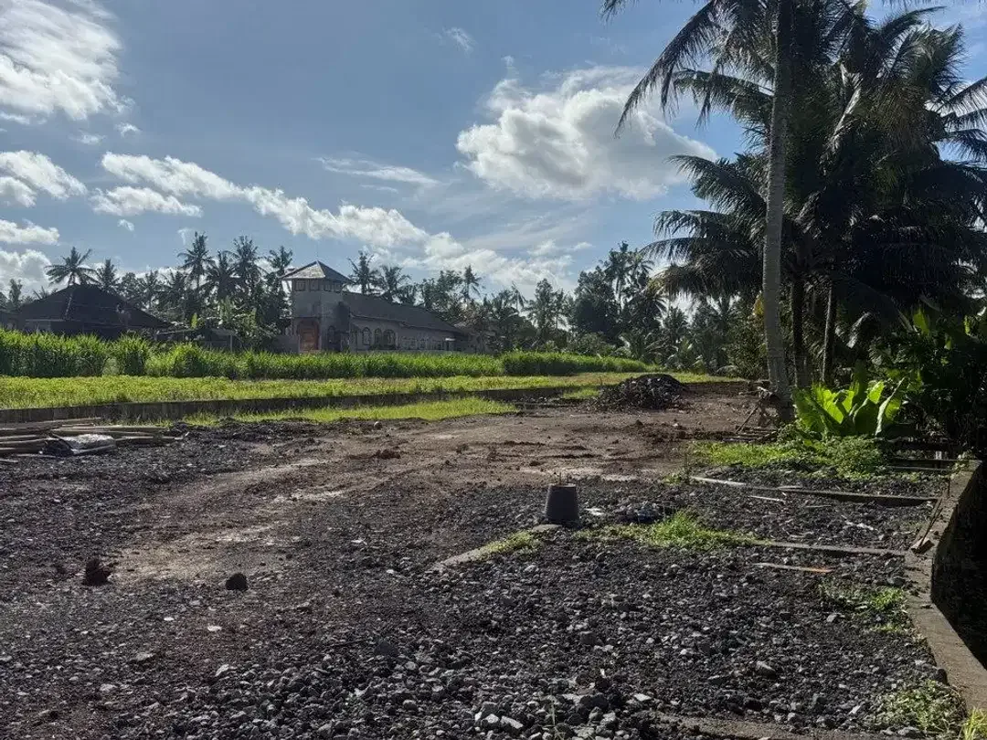 Prime Investment Land - 27 Are Leasehold Plot in Pejeng, Ubud - Secure Your Piece of Bali's Land - Image 8 of 10