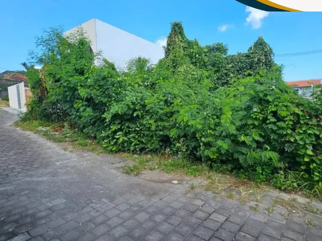 Tanah Plot Kecil Lokasi Berawe 2 Are Siap Bangun - Image 1 of 8