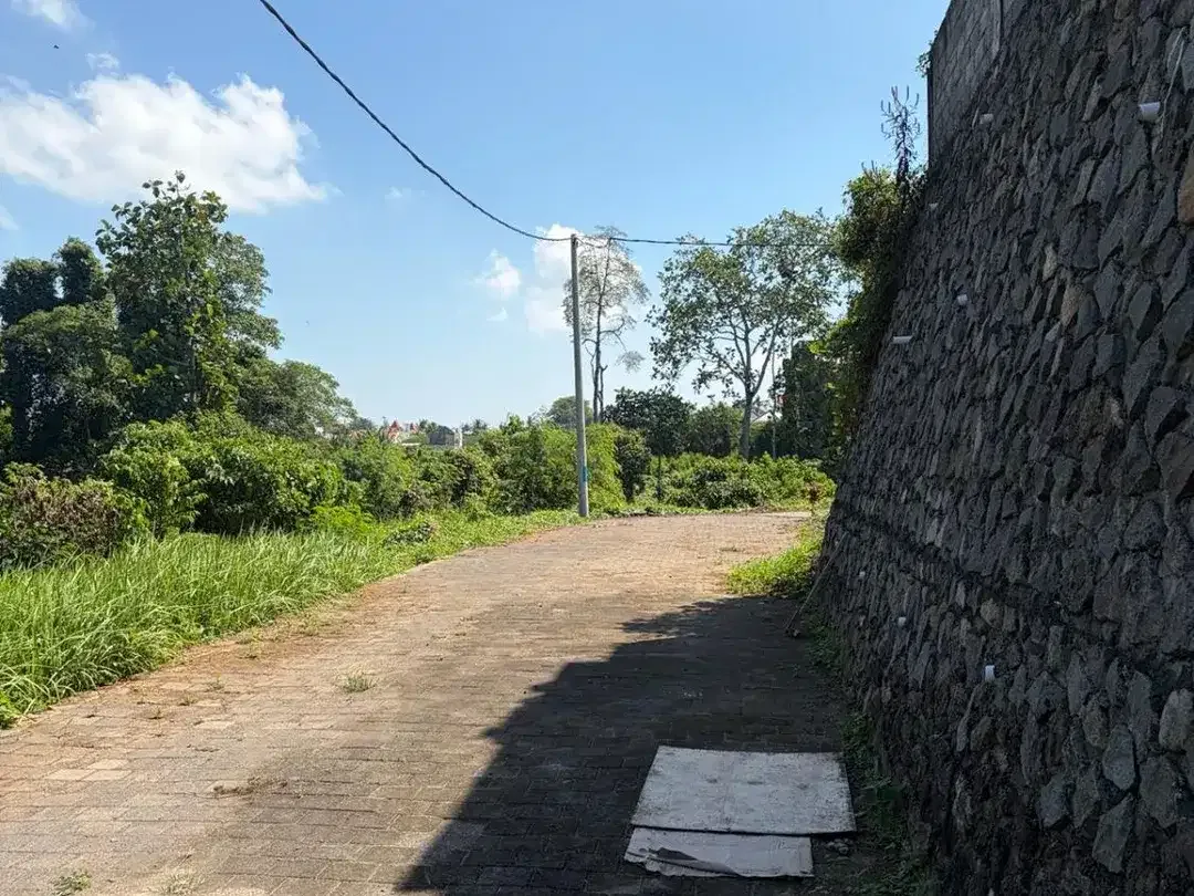 DI JUAL TANAH ZONA KUNING KEDUNGU DEKAT CANGGU VIEW SAWAH - Image 4 of 6