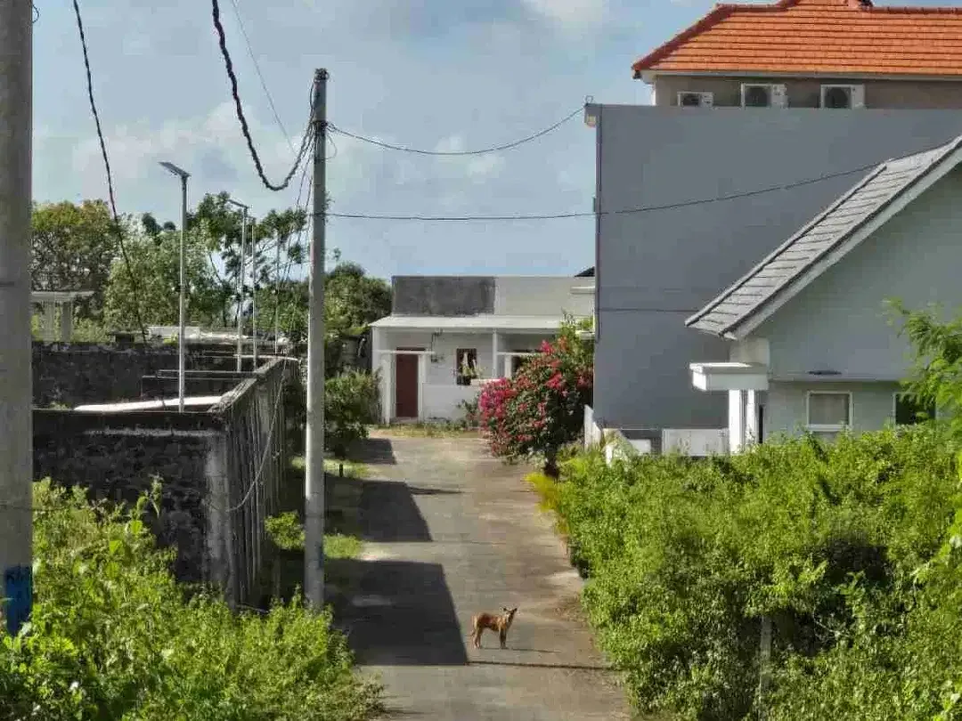Dijual Tanah 272m² Premium dan Murah di Kuta Selatan - Image 1 of 6