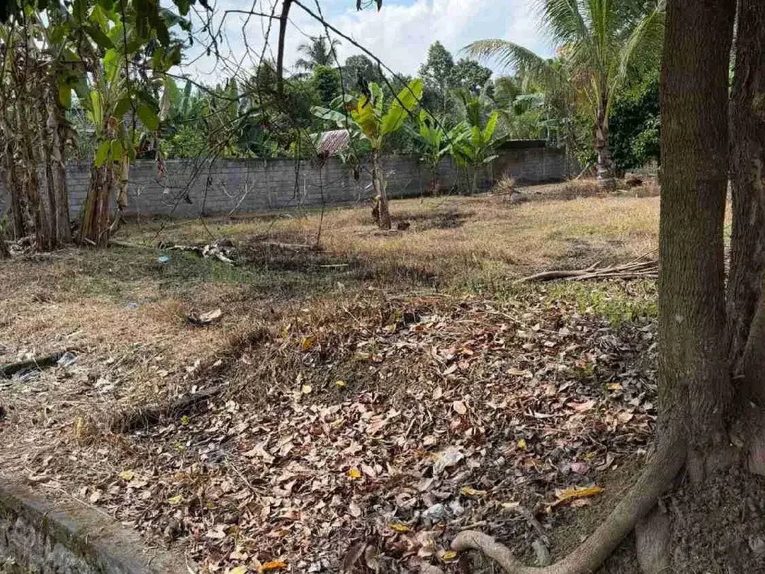 Dijual Tanah Strategis Jalan Raya Denpasar – Singaraja, Area Perean Luwus TABANAN BALI - Image 3 of 6