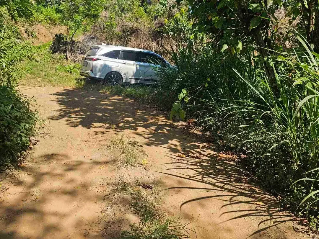kebun durian datar cocok buat segala jenis tanaman dan murah dibawah pasaran - Image 5 of 8