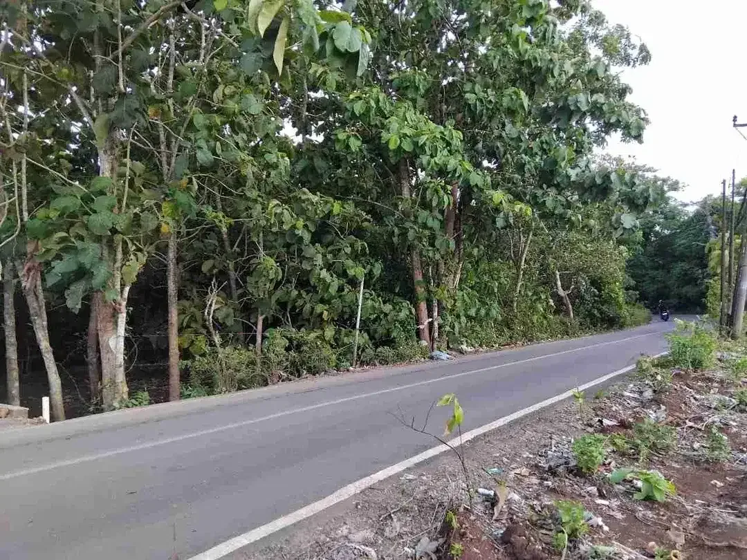 Lahan Komersial Balangan 75 Meter Hook Dekat Pantai - Image 7 of 10