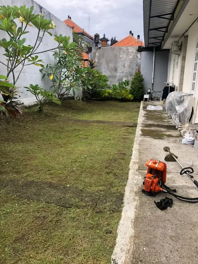 jasa potong rumput panggilan - Image 6 of 10