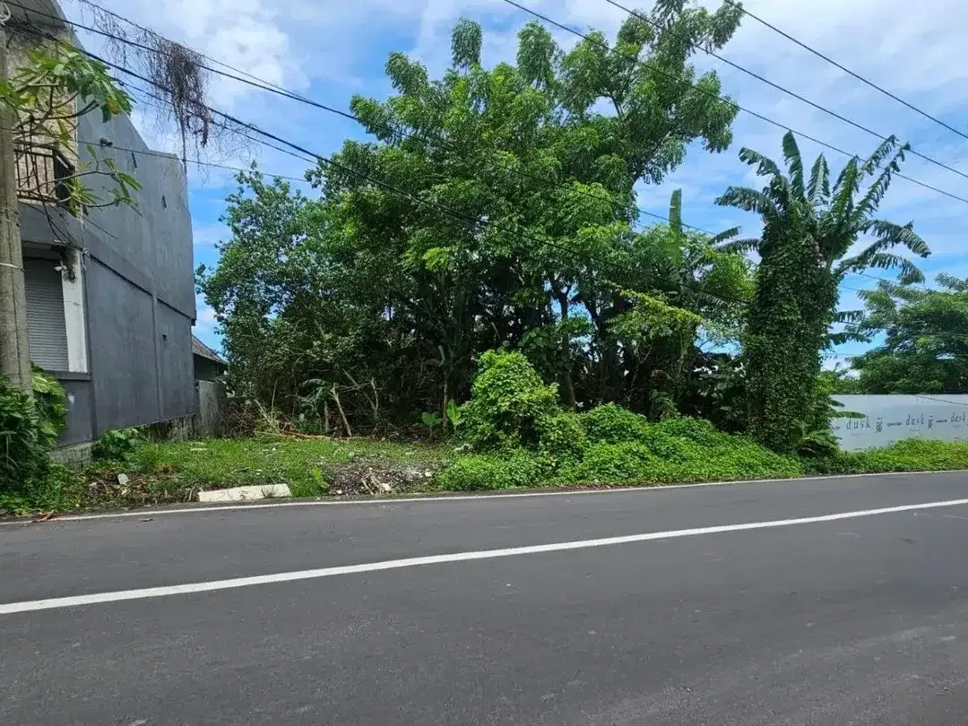 Tanah Tiying Tutul Pererenan Canggu Badung - Image 7 of 7