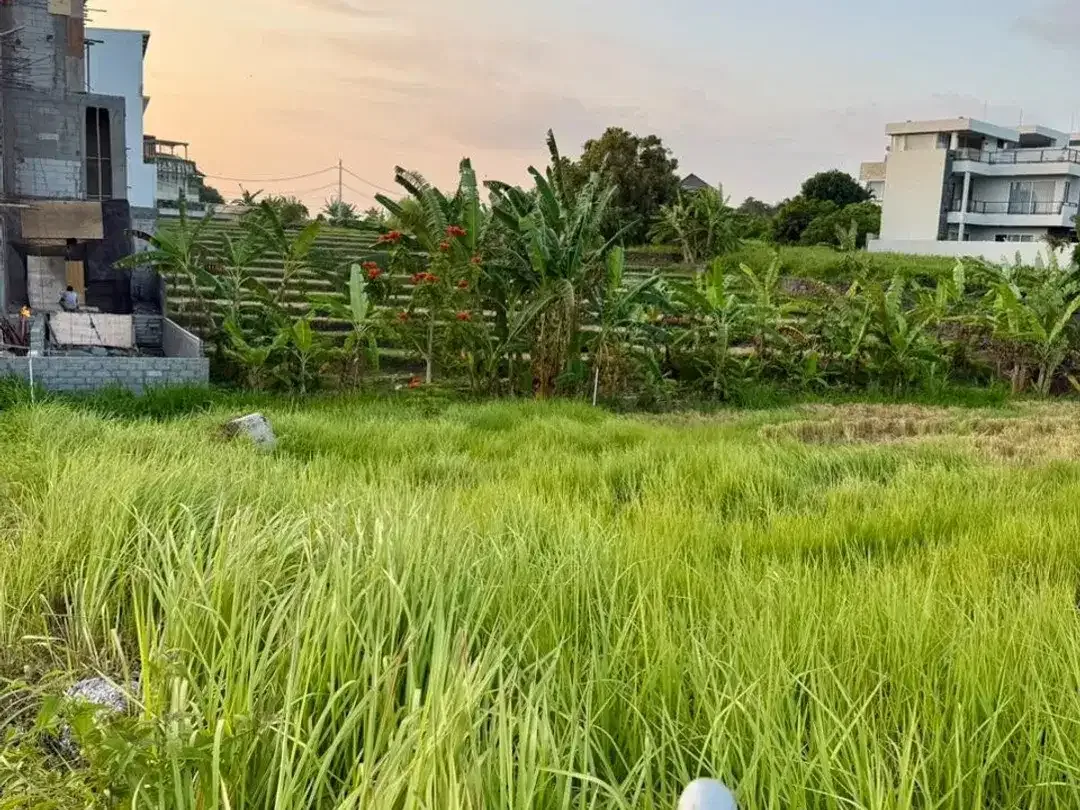 TANAH PREMIUM DI CEMAGI MENGWI BADUNG DEKAT PANTAI - Image 4 of 10
