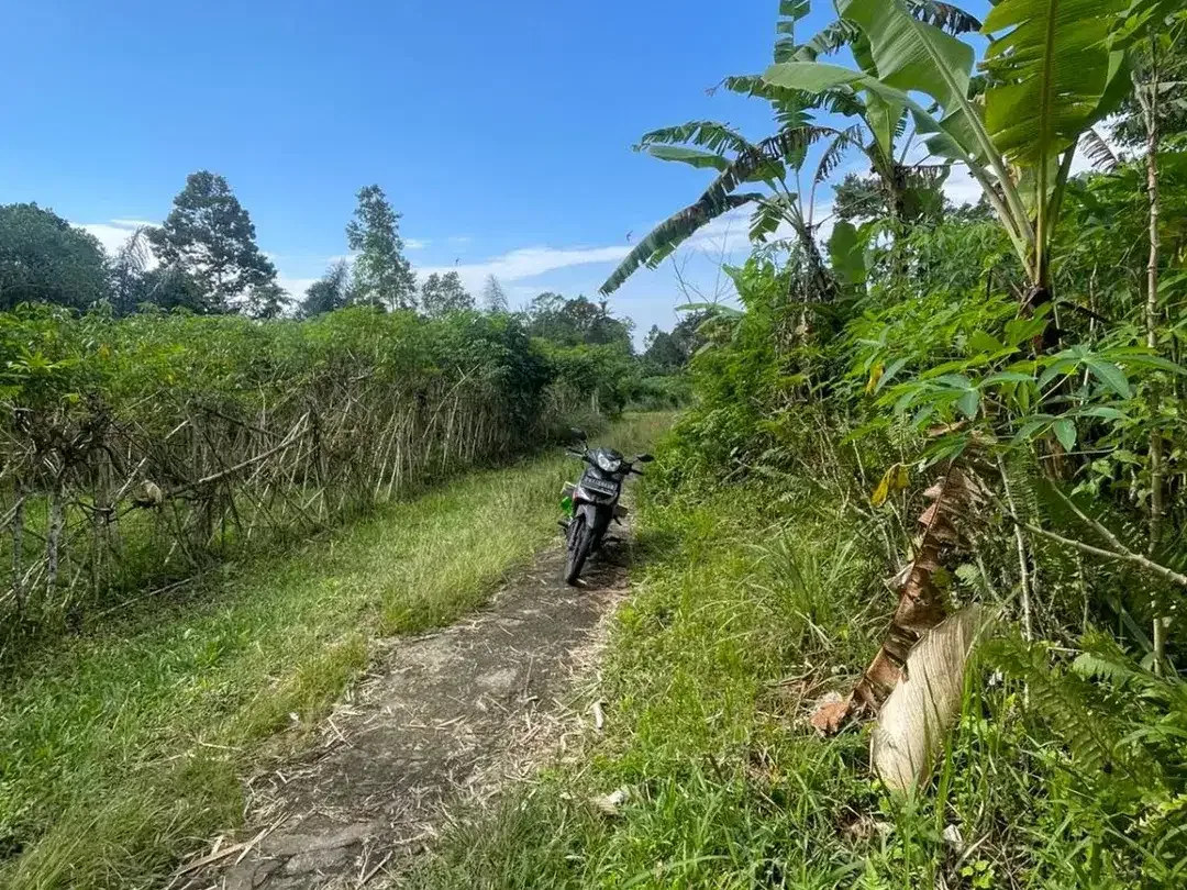 Murah! Tanah Kavling Luas 5,33 Are Dekat Wisata Jatiluwih, Tabanan - Image 4 of 10
