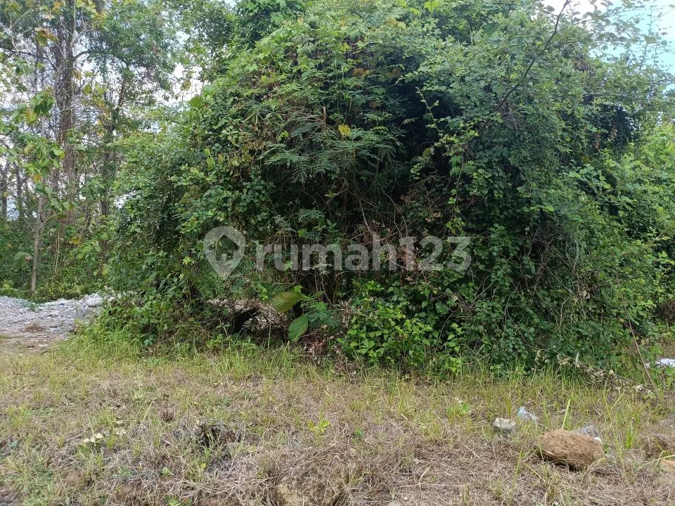 For Sale Land 3 Minute Drive To Central Lovina - Image 4 of 4