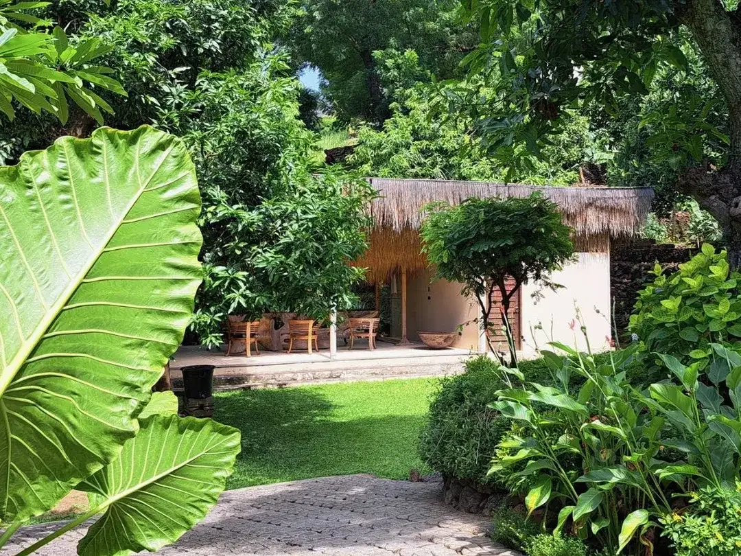 Freehold - Brand new beautiful resort close to the beach available with legal entity ( PT. PMA ) in quiet north Bali - Image 3 of 10