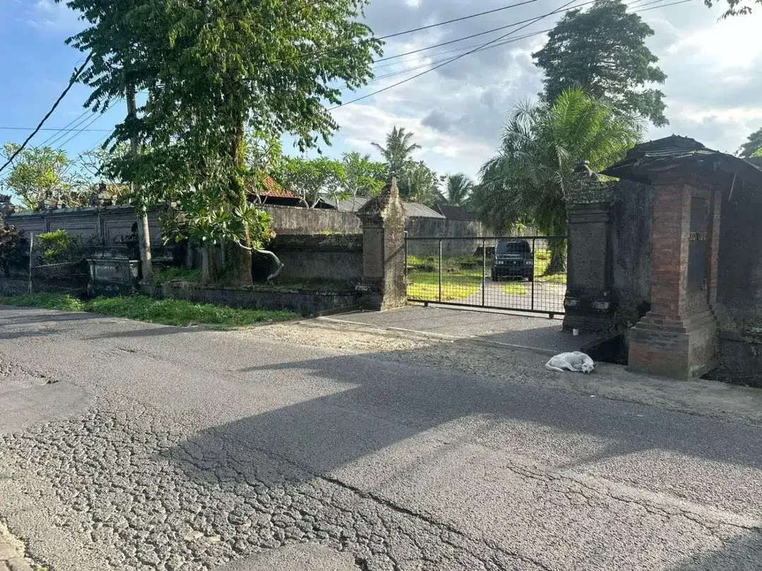 Tanah Premium Raya Sayan Ubud Gianyar Bali - Image 2 of 6