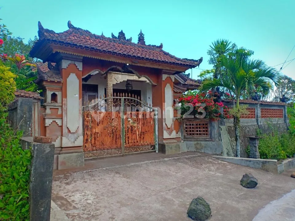 Dijual Tanah Perkebunan Kopi 4,5 HA Di Buleleng Bali Ada Mata Air - Image 3 of 4