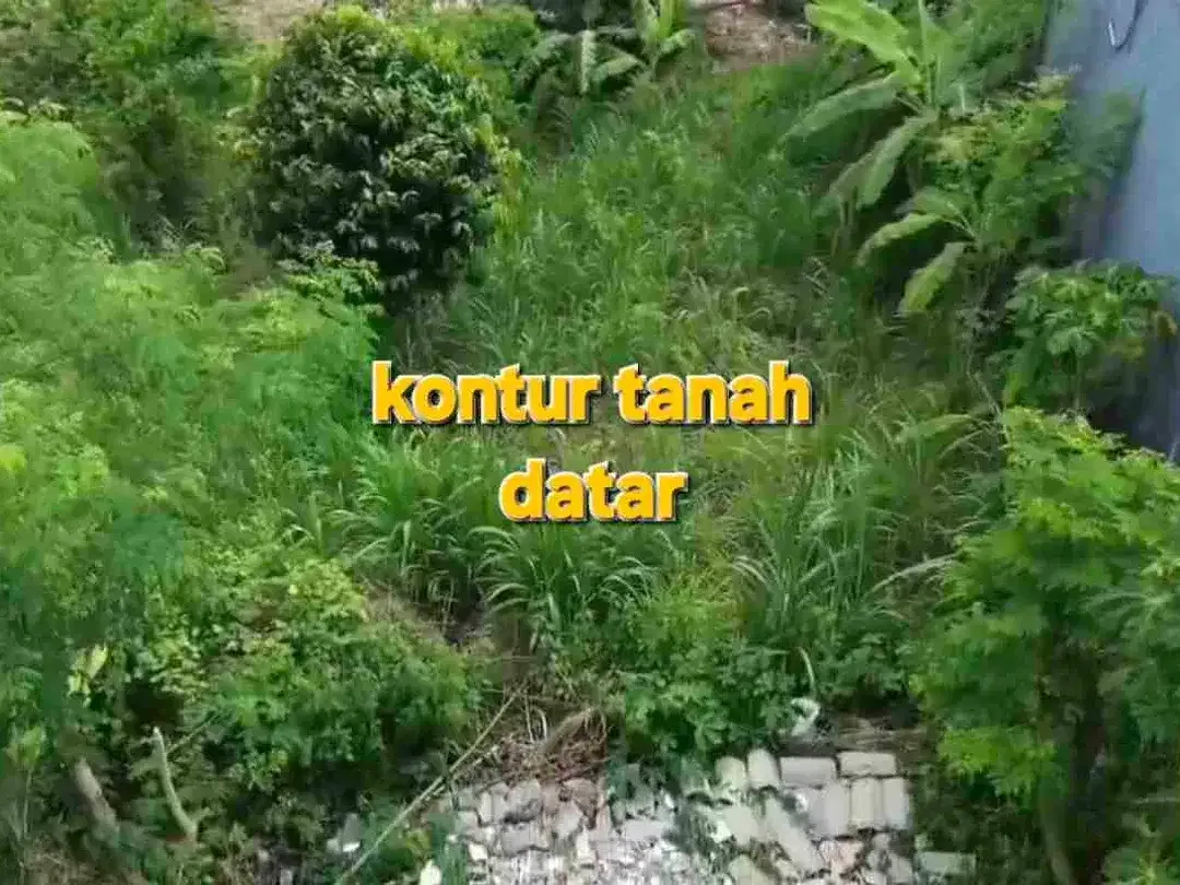 BUC, Jual tanah murah area Goagong dekat kampus Unud Jimbaran Bali - Image 4 of 7