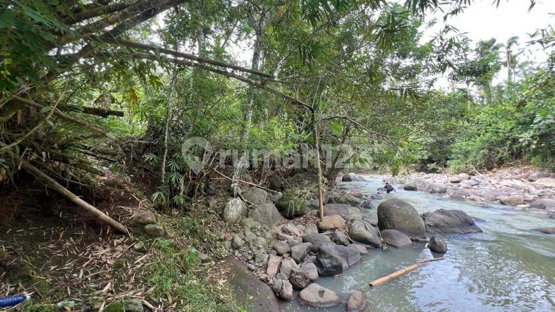 Jual Tanah Kebun Itr Kuning Los Sungai di Tabanan Bali. - Image 4 of 4