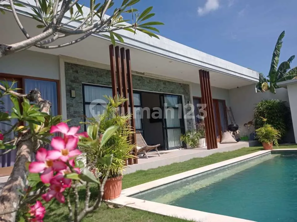 Villa In Babakan, Canggu. Rice Field Viw - Image 2 of 4