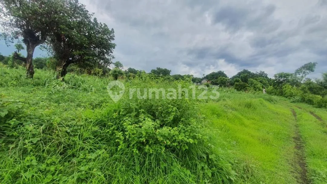 Dijual Tanah Karang Asem Tulamben Bali Dekat Dengan Spot Diving - Image 3 of 4
