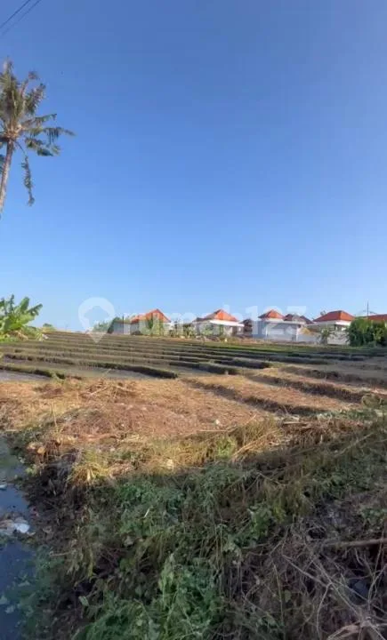 Tanah View Sawah Subak Daksina Canggu #Tj2194tg - Image 2 of 4