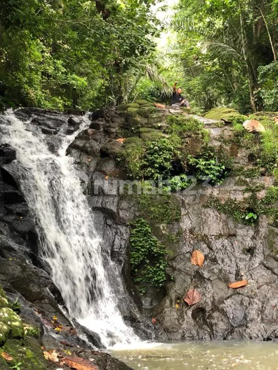 Tanah los sungai, waterfall murah di bali - Image 3 of 4