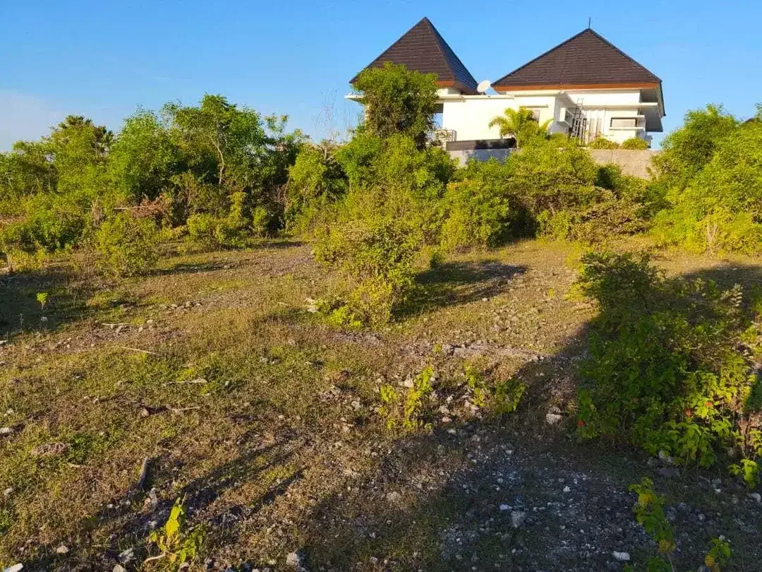 Dijual tanah 1972m² IDR 700 juta per are dipurigading jimbaran Kuta Selatan Badung Bali - Image 5 of 9