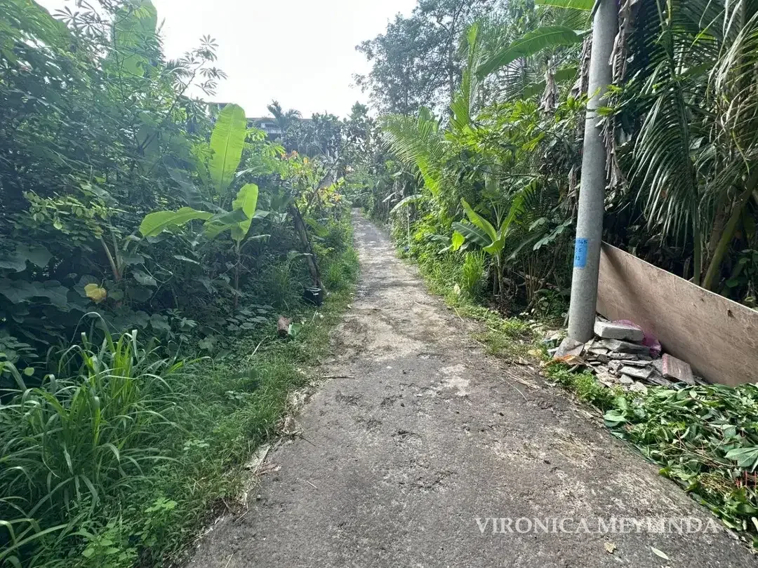 TANAH 5 ARE DIJUAL – AREA PECATU. - Image 6 of 6