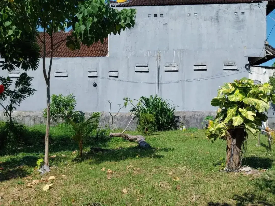 Tanah 6,7 Are Dijual di Mahendradata Denpasar, Cocok untuk Apartemen - Image 4 of 6