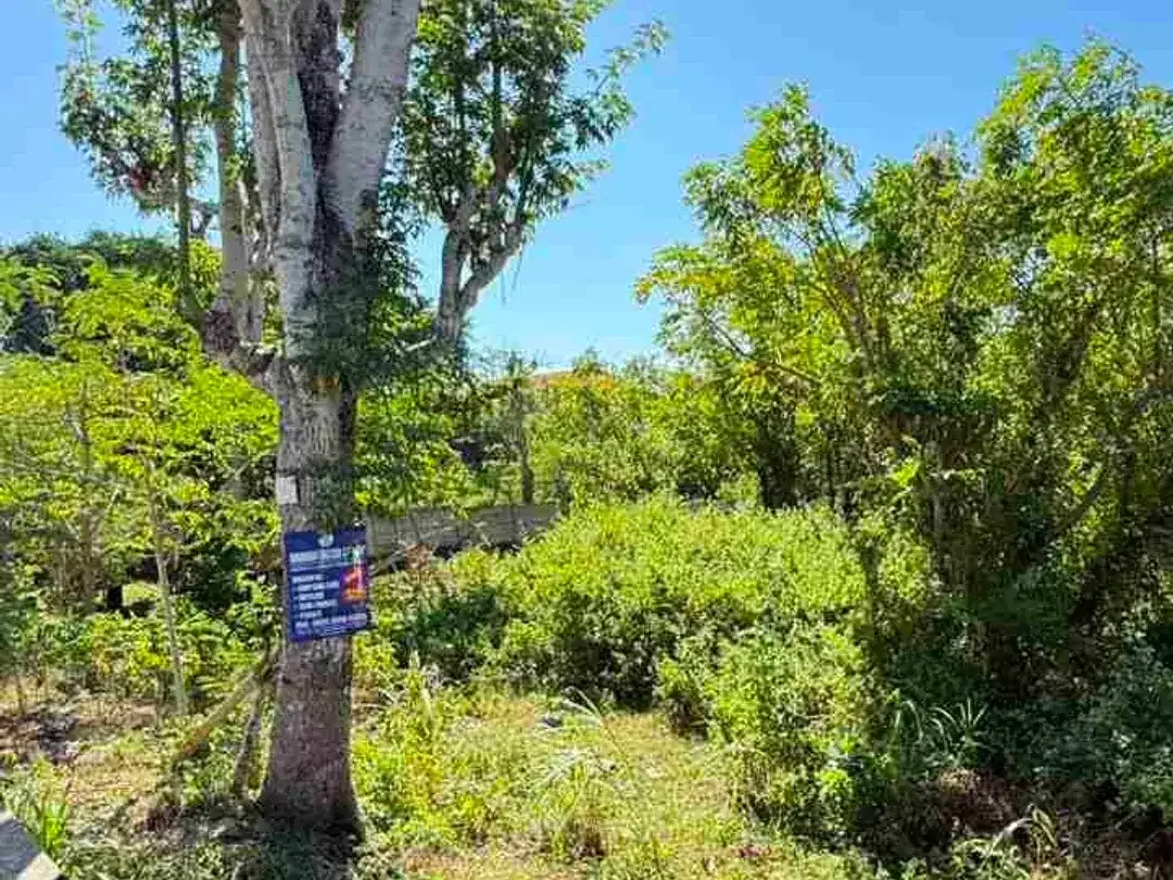 Dijual Tanah 500m2 Super Strategis Dekat Kampus Unud Jimbaran - Image 9 of 10