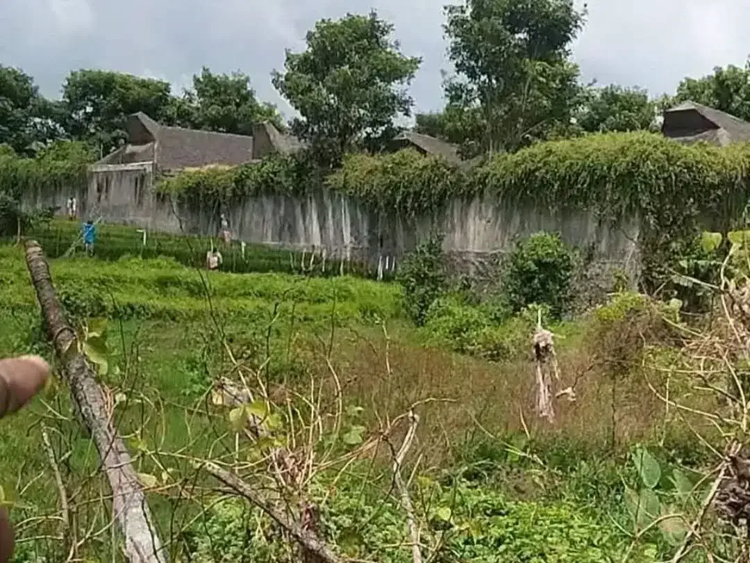 Dijual Tanah Kavling Premium di Umalas Kerobokan – Lokasi Strategis Dekat Canggu, Seminyak & Kerobokan - Image 5 of 5